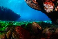 El fotgrafo submarino David Barrio obtiene siete premios en el FotoSub Sardina